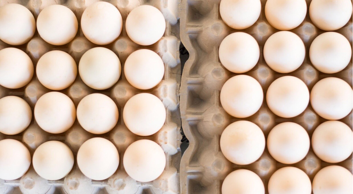 60 Duck Eggs