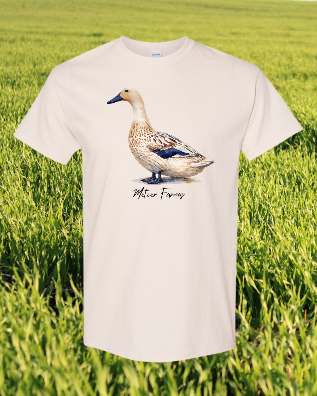 Welsh Harlequin Duck T-Shirt