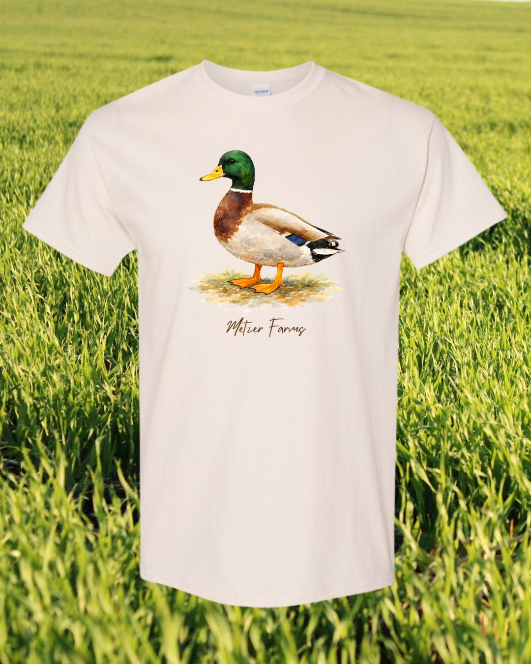 Mallard Duck T-Shirt