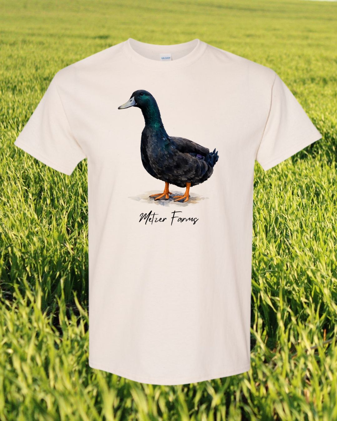 Cayuga Duck T-Shirt