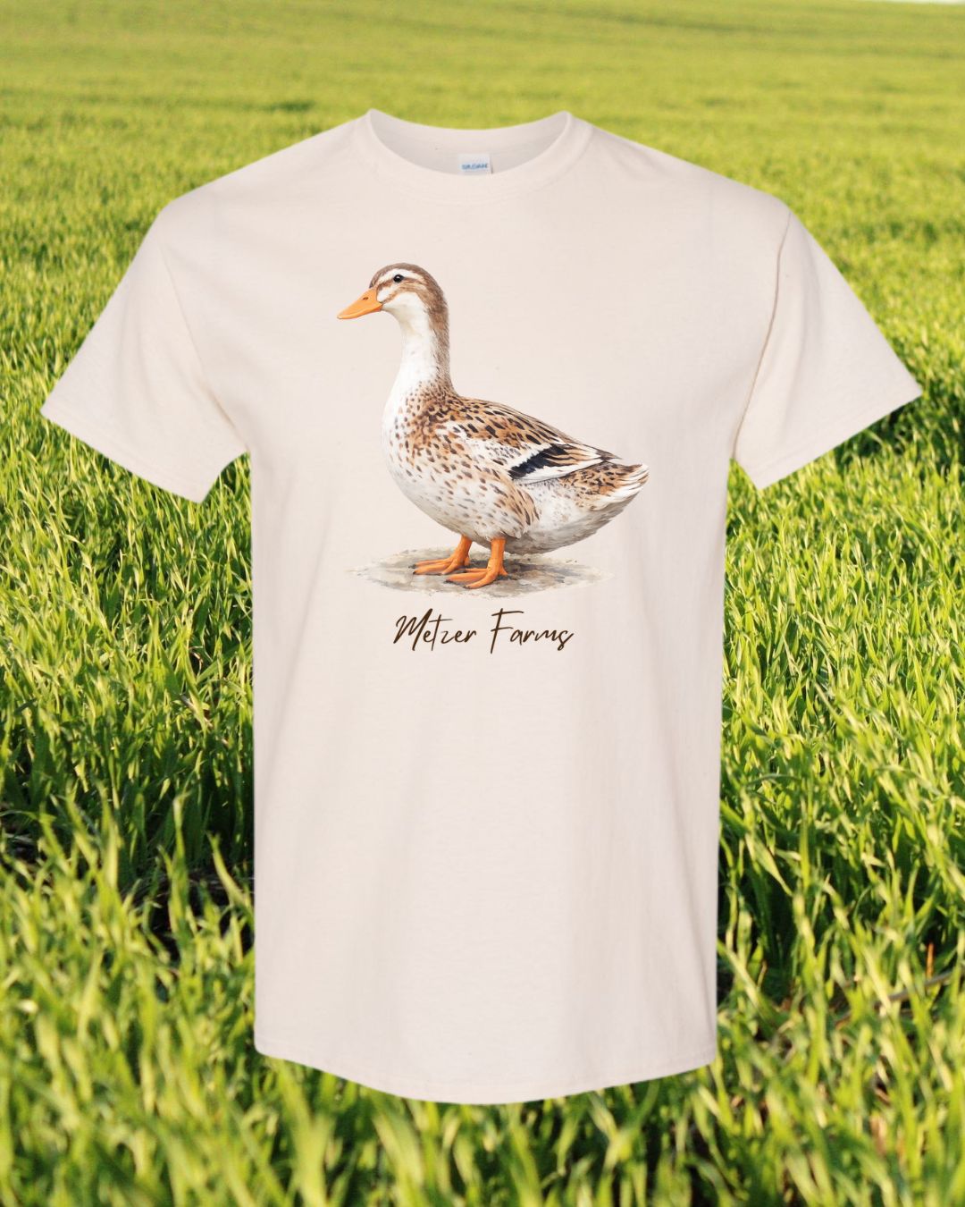Silver Appleyard Duck T-Shirt