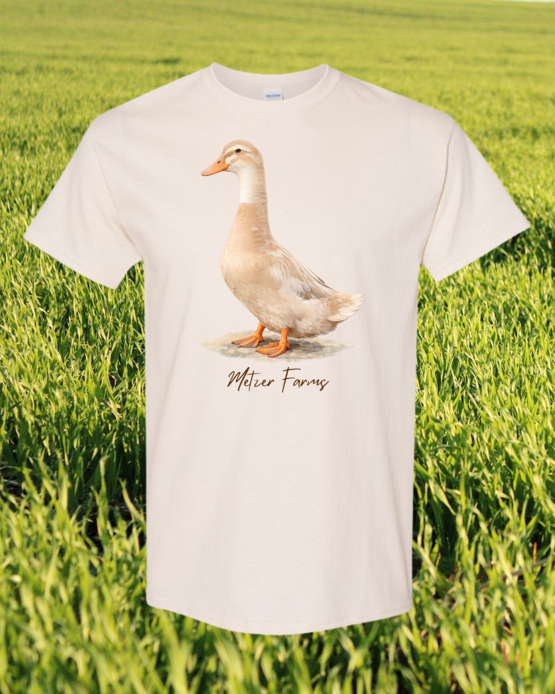 Saxony Duck T-Shirt