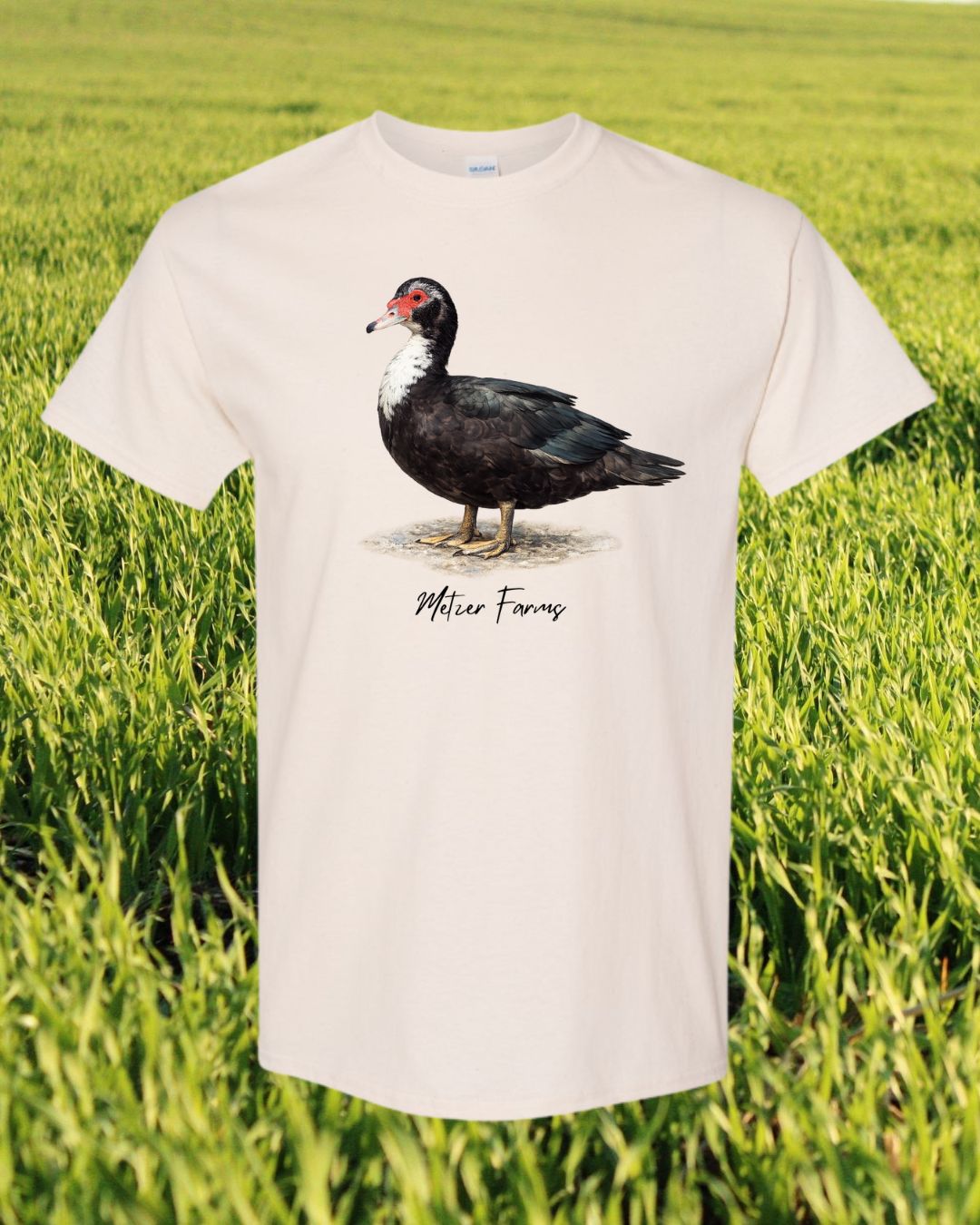 Black Muscovy Duck T-Shirt