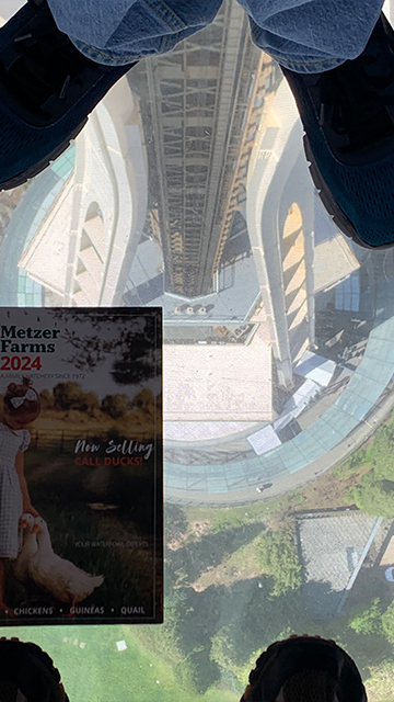 Metzer Farms Catalog Travels