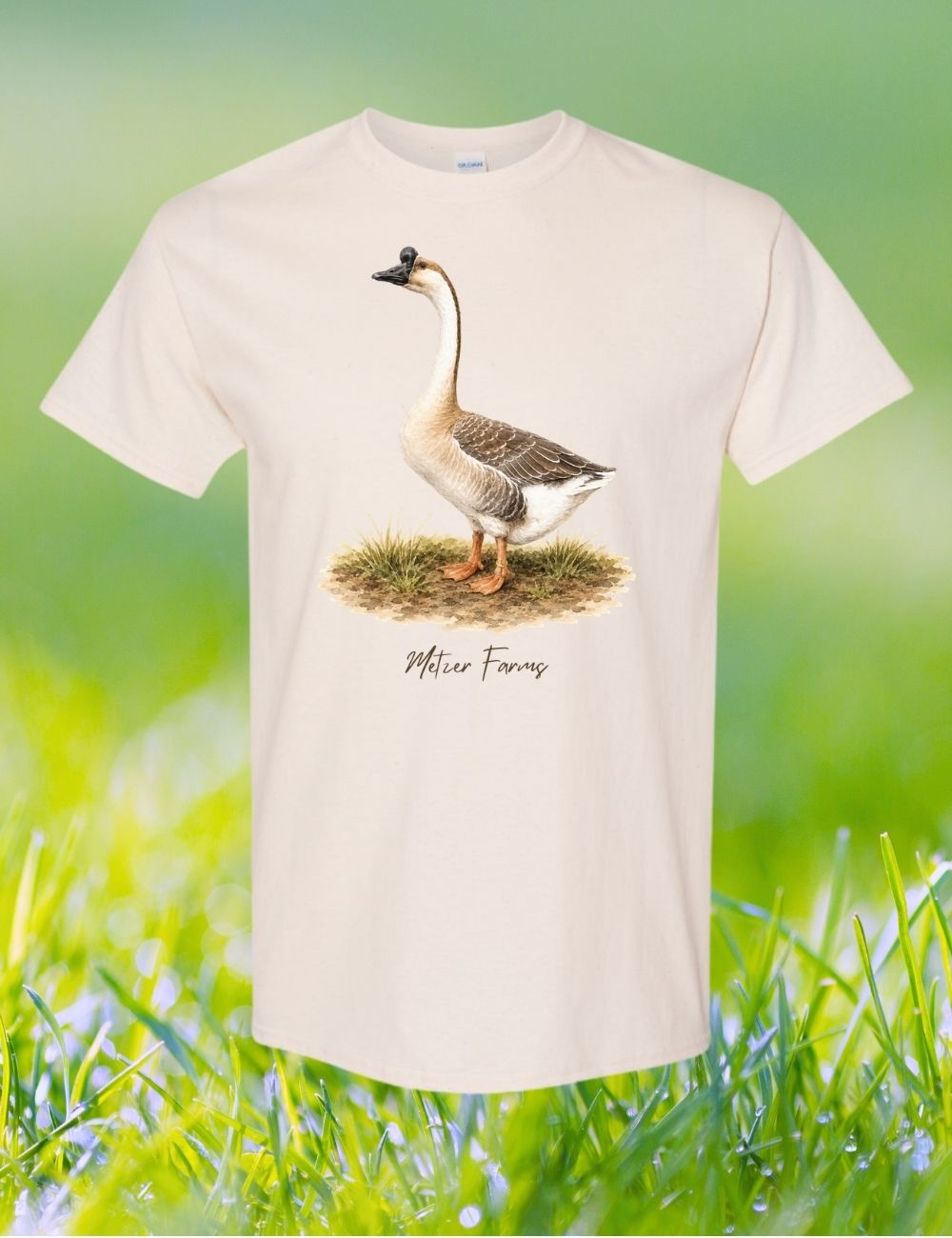 Brown Chinese Goose T-Shirt