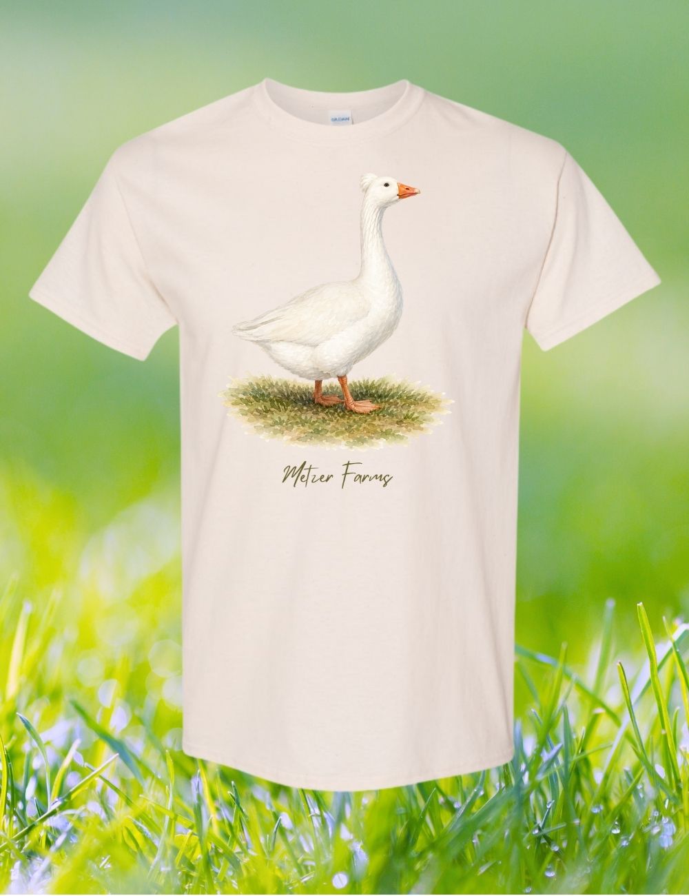 Roman Tufted Goose T-Shirt