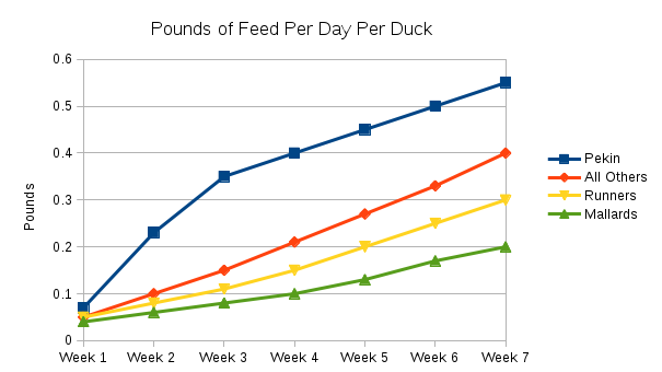 How Much Will My Ducks Eat?