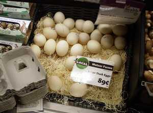 The Growing Demand for Fresh Duck Eggs