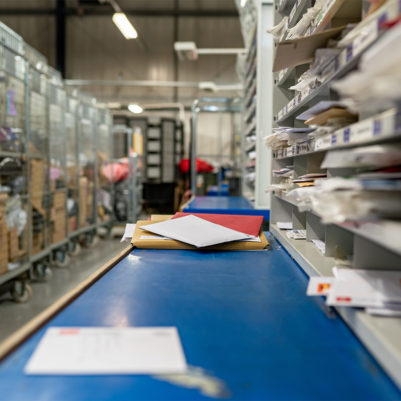 Why Metzer Farms Chooses Priority Mail over Express Mail When Shipping Ducklings USPS