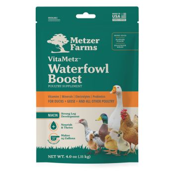 Determining How To Supplement Your Duck’s Diet With Niacin