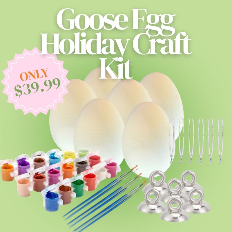 Goose Egg Holiday Craft Kit