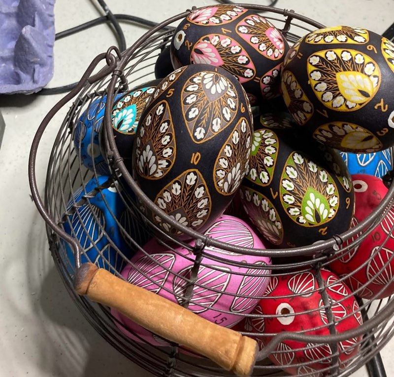 10, 10.5 & 11 Inch Blown Eggs Next to a Ruler | Metzer Farms | Buy Blown Eggs Online From Metzer Farms