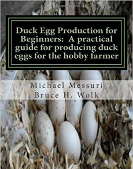 Duck Egg Production For Beginners for Sale