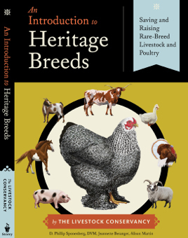 An Introduction to Heritage Breeds for Sale