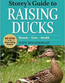 Raising Ducks for Sale