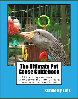 Ultimate Pet Goose Guidebook for Sale