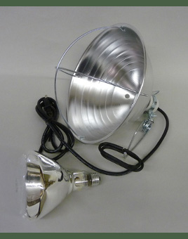 Brooder Lamp with Bulb for Sale