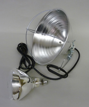 Brooder Lamp with Bulb