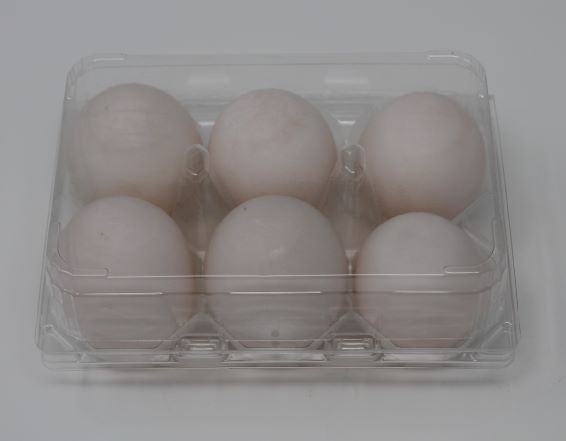 Maximizing Duck & Goose Egg Production, Buy Duck Eggs Online