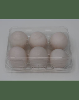 Duck Egg Cartons for Sale